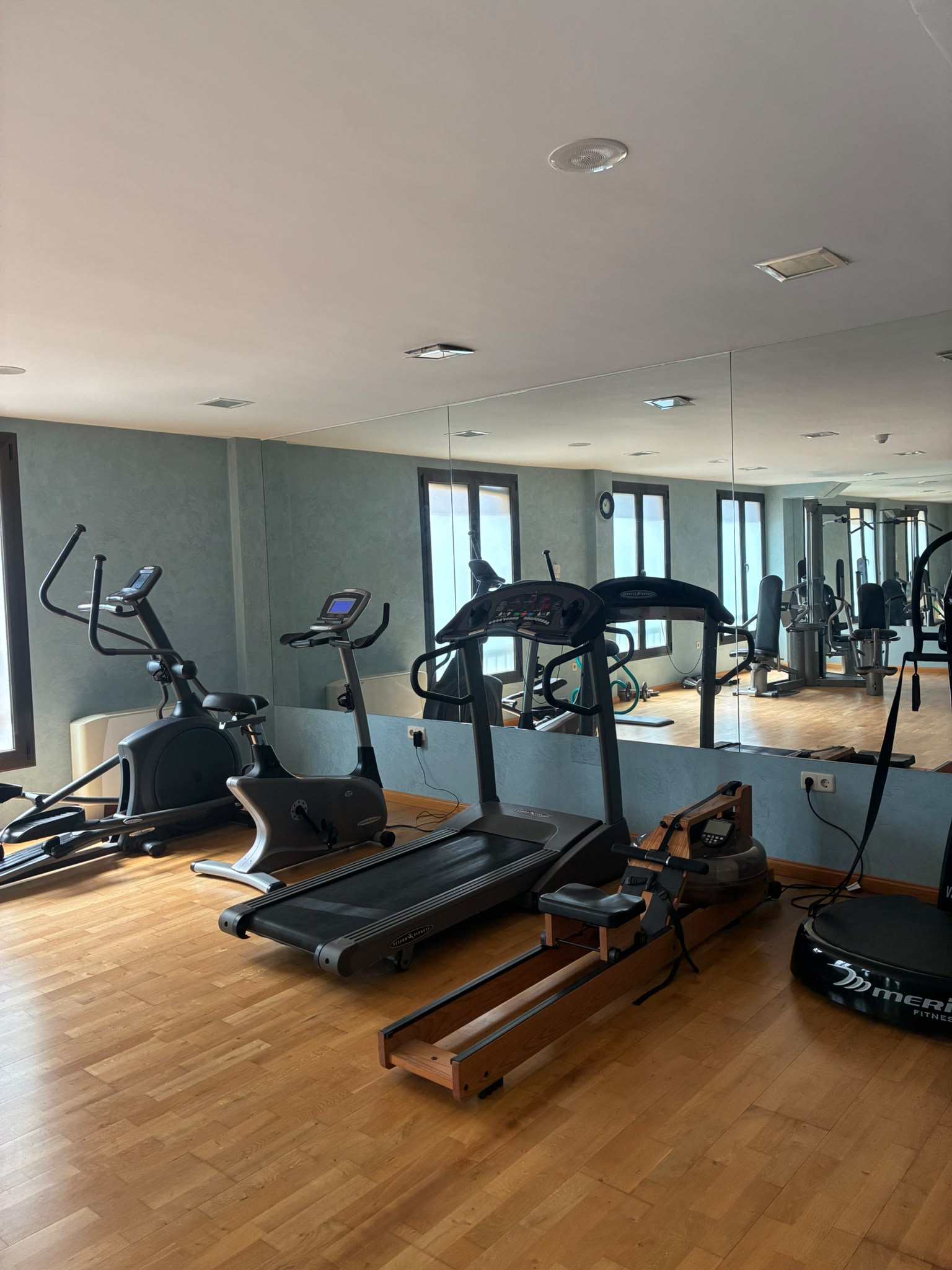 Gimnasio de Vestigia con máquinas de cardio y remo